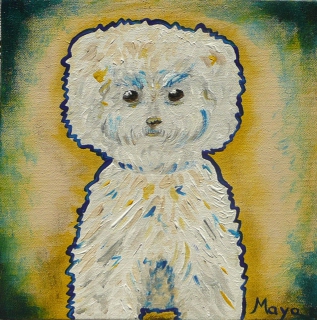 Bichon