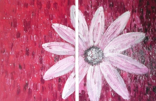 Daisy on Red