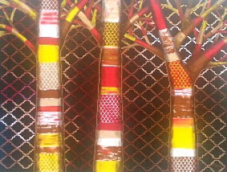 Birch Forest Fiesta